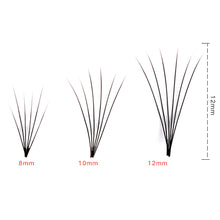 Cargar imagen en el visor de la galería, Pestañas de grupito Medianas 10mm NDP-3 ✅