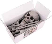 Cargar imagen en el visor de la galería, Huesos de decoración de esqueleto de Halloween de canguro 30 piezas a granel
