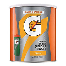 Cargar imagen en el visor de la galería, Gatorade Powder Canister Fruit Punch, 51 onzas
