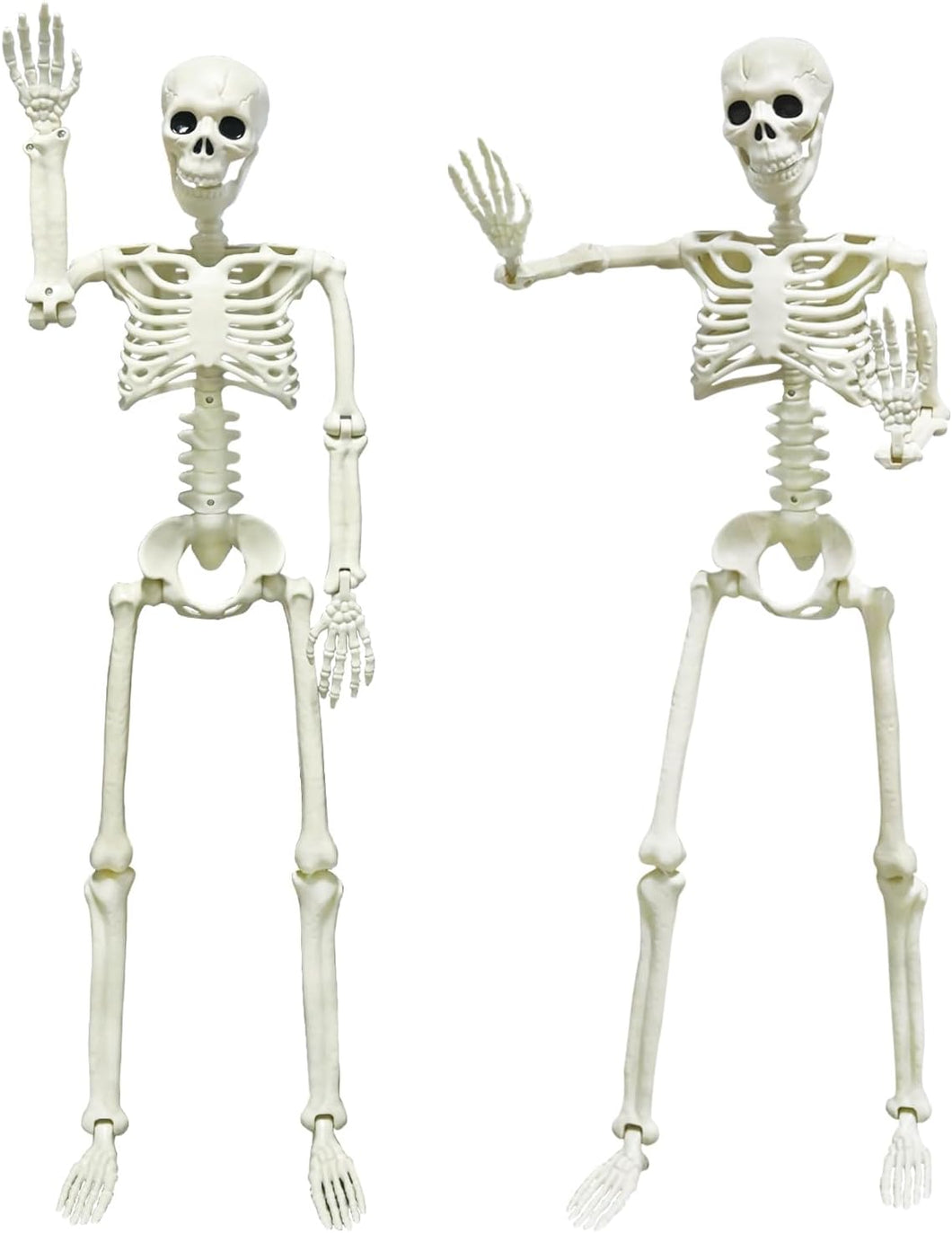 CAMIRUS 2PACK 36
