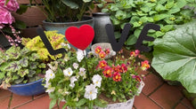 Cargar imagen en el visor de la galería, Linfevisi Decoración de estacas para el jardín del Día de San Valentín

