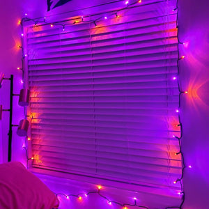 Luces de Hada Brillantes Dazzle para Halloween, 20FT 60 LED