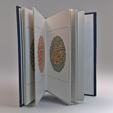 Cargar imagen en el visor de la galería, Libros de diagramas de prueba de Ishihara, a22 para la deficiencia de color
