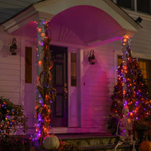 Cargar imagen en el visor de la galería, DAZZLE BRIGHT Halloween 300 Luces de Cadena LED, Luces de Cadena de 100FT con 8 Modos de Iluminación
