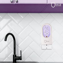 Cargar imagen en el visor de la galería, Trampa para moscas en interior
