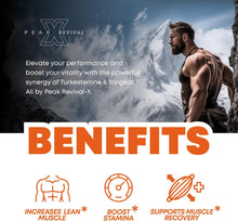 Cargar imagen en el visor de la galería, TESTOTERONA- Turkesterone &amp; Tongkat Ali Suplemento de 1000 mg – 500 mg de Ajuga Turkestanica por porción Aumenta la resistencia, crecimiento muscular magro y recuperación
