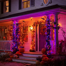 Cargar imagen en el visor de la galería, Dazzle Bright Luces de Cadena de Halloween para Exteriores
