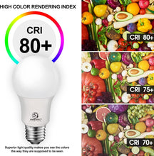 Cargar imagen en el visor de la galería, E ENERGETIC LIGHTING Bombillas equivalentes a 60 vatios, bombillas LED blancas cálidas A19, base E26 de 15000 horas, bombillas de 9W 760LM 3000K, certificación UL, no regulables, paquete de 8 A19
