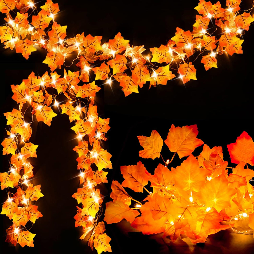 Decoración de otoño 2 Pack Guirnalda de otoño iluminada, Total 16.4ft 40 Decoraciones LED de Acción de Gracias Luces de cadena de Halloween