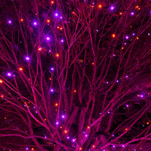 DAZZLE BRIGHT Halloween 300 Luces de Cadena LED, Luces de Cadena de 100FT con 8 Modos de Iluminación