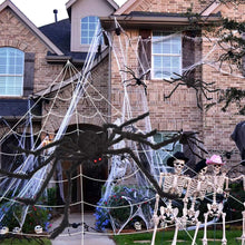 Cargar imagen en el visor de la galería, Telaraña de Halloween de 200&quot; + Decoraciones de araña gigante de 59&quot;
