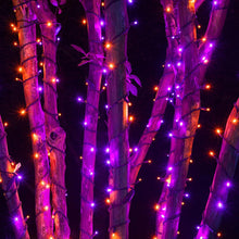 Cargar imagen en el visor de la galería, DAZZLE BRIGHT Halloween 300 Luces de Cadena LED, Luces de Cadena de 100FT con 8 Modos de Iluminación
