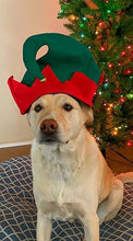 Cargar imagen en el visor de la galería, 12 Pack de Elfo de Navidad con cascabel - Tamaño adulto
