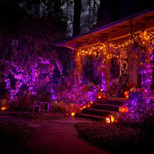 Cargar imagen en el visor de la galería, Dazzle Bright Luces de Cadena de Halloween para Exteriores
