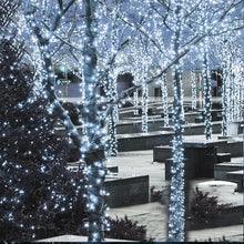 Cargar imagen en el visor de la galería, Dazzle Bright Luces de Navidad para exteriores, 1000 LED 328 FT
