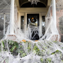Cargar imagen en el visor de la galería, Decoraciones de Halloween de telarañas de 1000 pies cuadrados con 30 arañas falsas
