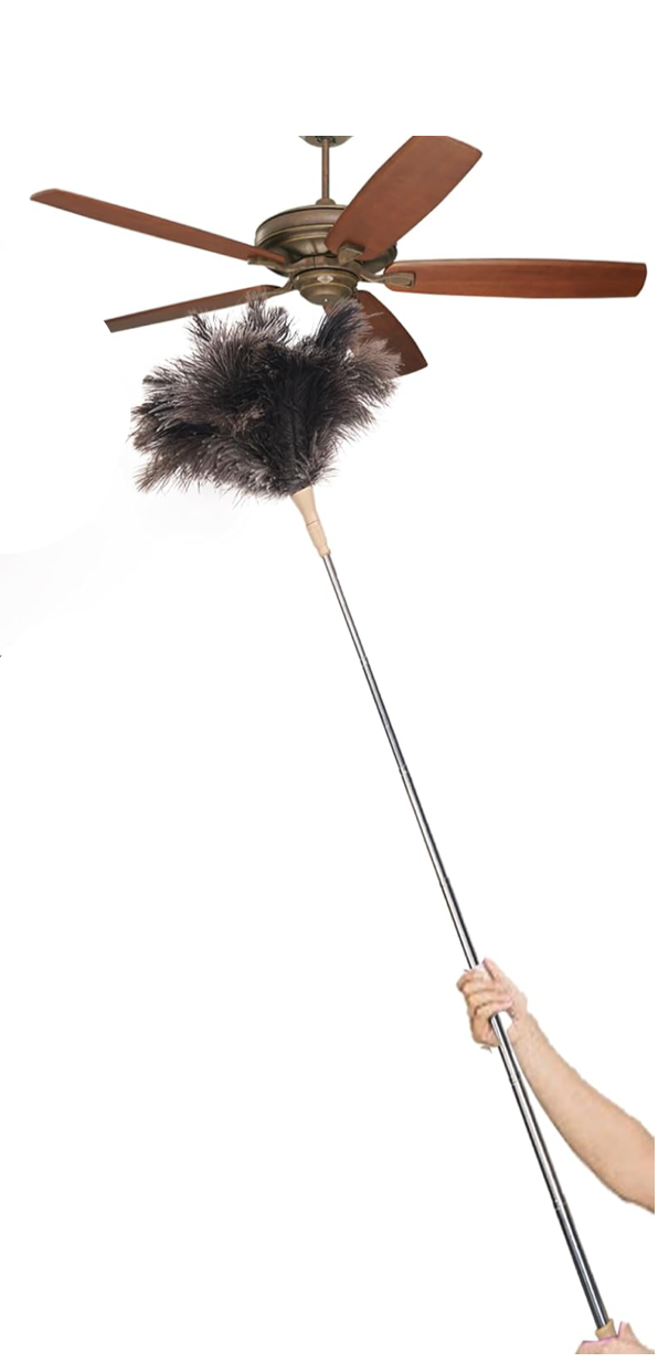 Plumero de acero inoxidable con mango extensible de 22 a 50 pulgadas