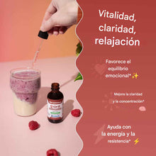 Cargar imagen en el visor de la galería, uplementos de Ashwagandha para apoyo diario de bienestar - Promueve la concentración y la claridad
