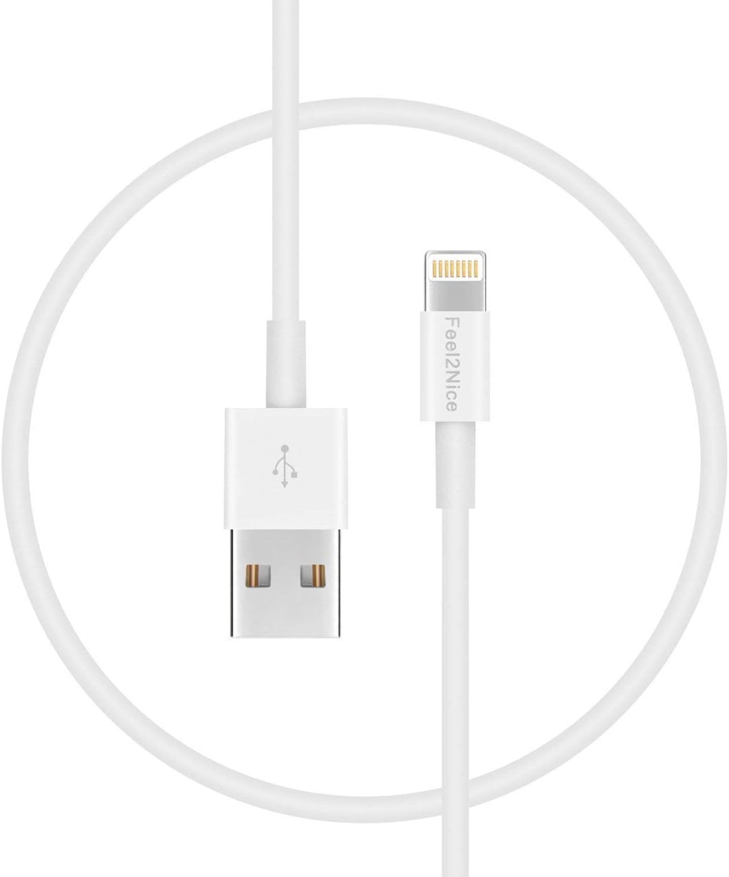 Cargador de iPhone de carga rápida Lightning de 10 pies de largo