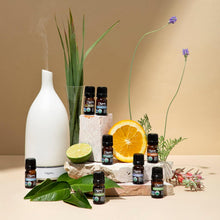 Cargar imagen en el visor de la galería, Cliganic Juego de aceites esenciales de aromaterapia  a24
