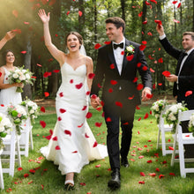 Cargar imagen en el visor de la galería, 1200  Pétalos de rosa de seda artificiales
