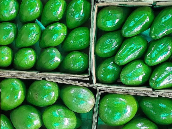 Aguacate verdes