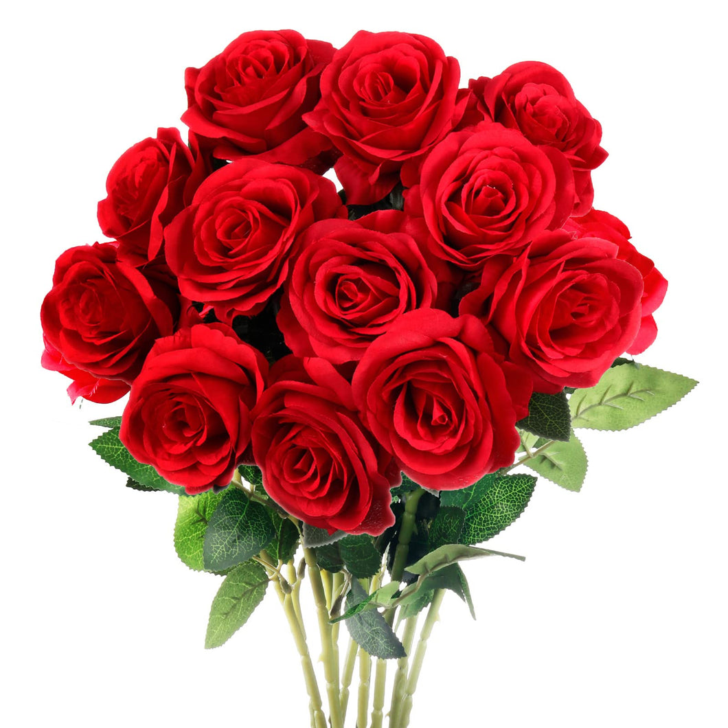 25 rosas