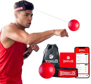 Original con aplicación, utilizada por celebridades, pelota de boxeo MMA Gear A24