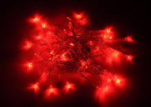 Cargar imagen en el visor de la galería, Luces LED Decorativas con Baterías de 13 pies (40 Luces)
