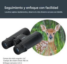 Cargar imagen en el visor de la galería, Celestron Outland X Binoculares, color negro 10x50
