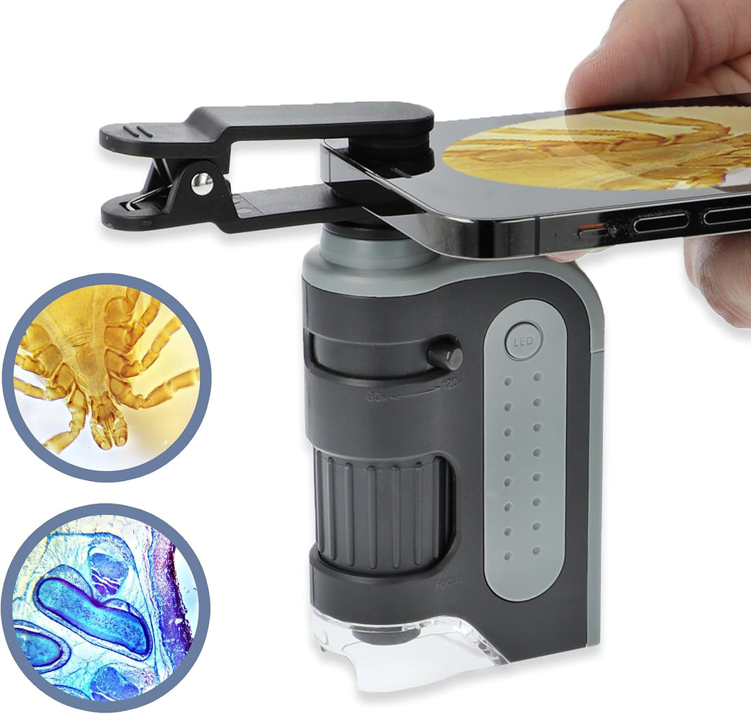 Carson MicroBrite Kit de microscopio de bolsillo LED 60x-120x para adultos a24