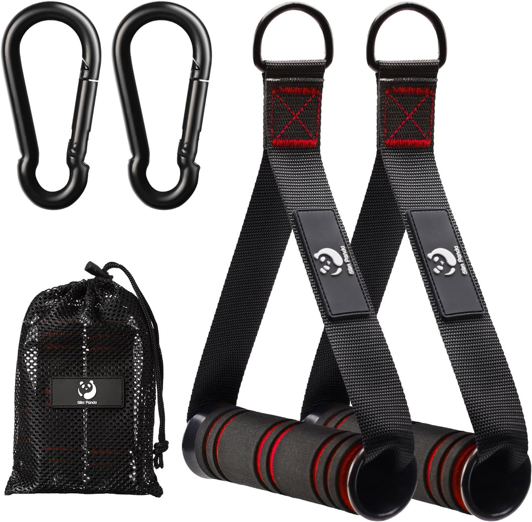 Panda Asas de ejercicio,  a24