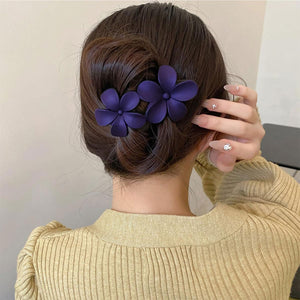 5 pinzas planas para el cabello para mujer A21