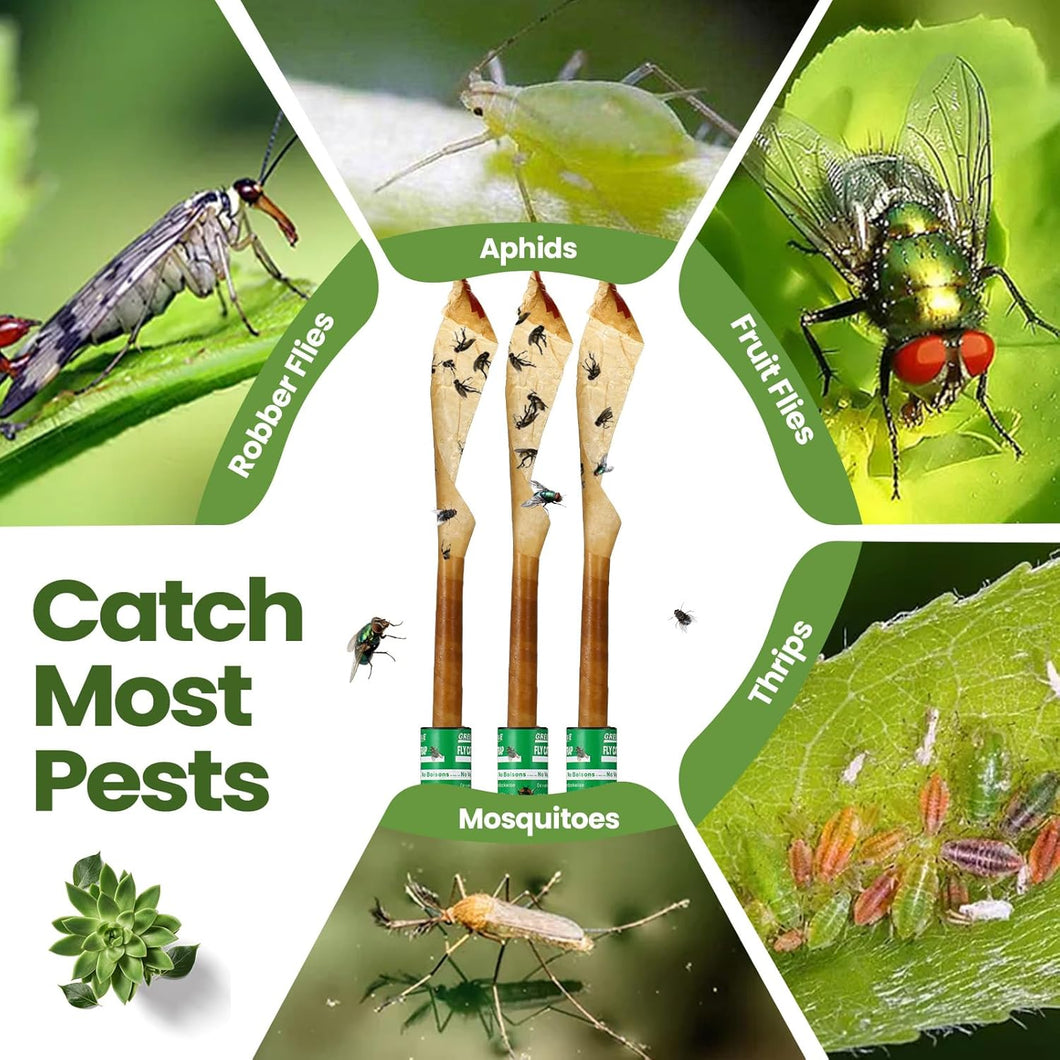 Paquete de 160 tiras adhesivas para moscas para interiores y exteriores