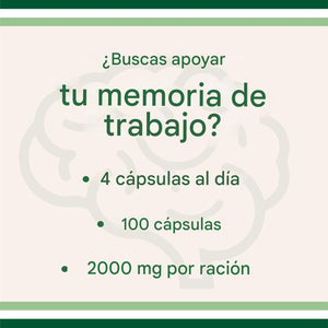 Cápsulas de magnesio L threonate, suplemento de alta absorción, 100 cápsulas