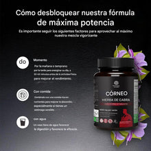 Cargar imagen en el visor de la galería, Suplemento de hierba de cabra cachonda de 1000 mg para resistencia 90 cápsulas
