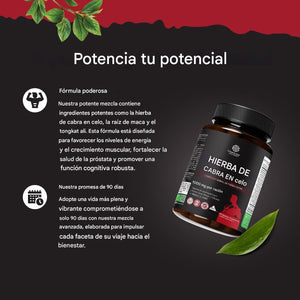 Suplemento de hierba de cabra cachonda de 1000 mg para resistencia 90 cápsulas