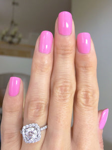 Haute To Trot (150)