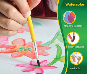 Crayola Juego de acuarela: 1 set, 16 colores, Multicolor NDP29
