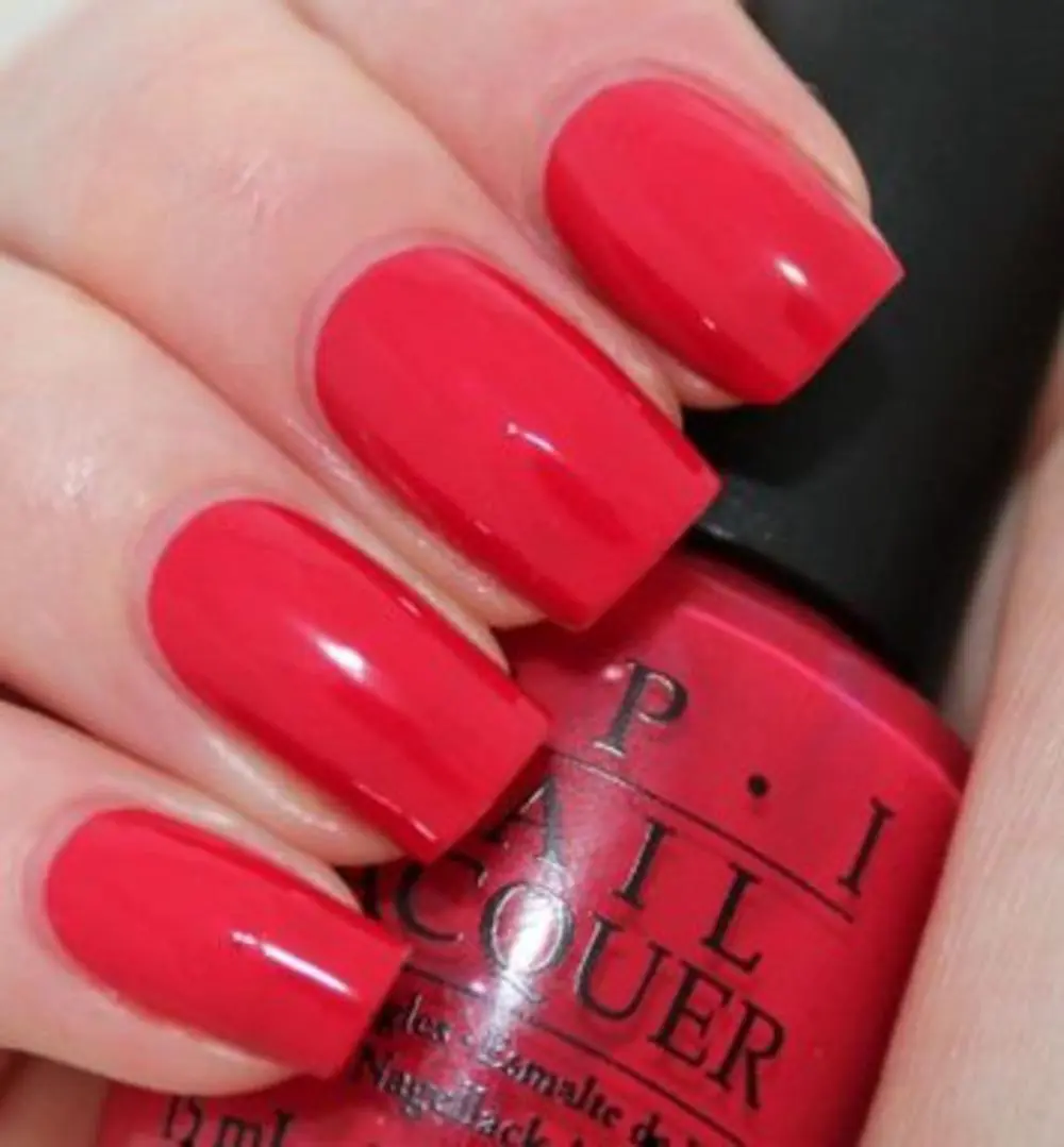 Dutch Tulips (NL L60)