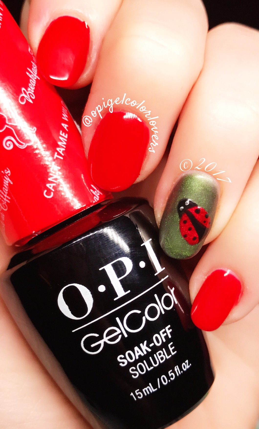 Can’t tame wild thing (GC HRH47)